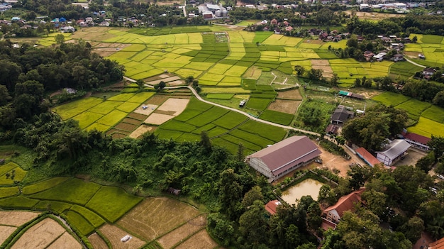 Vista alta ângulo, de, campo, em, tailandia