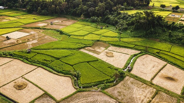 Vista alta ângulo, de, campo, em, tailandia