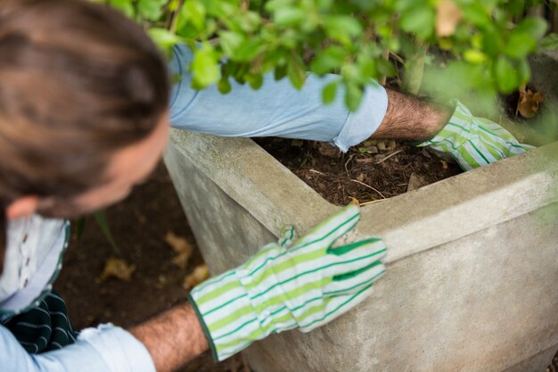 Vista alta ângulo, de, jardineiro, plantar, em, jardim comunitário