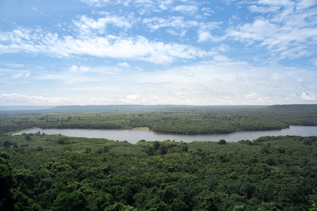 Foto vista alta ângulo, de, rio, e, floresta