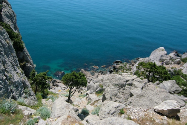 Vista desde un alto acantilado en la costa de Crimea