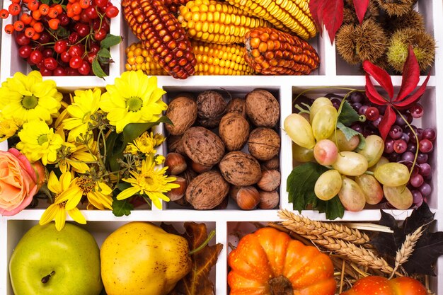 Foto vista de alto ángulo de frutas en el mercado