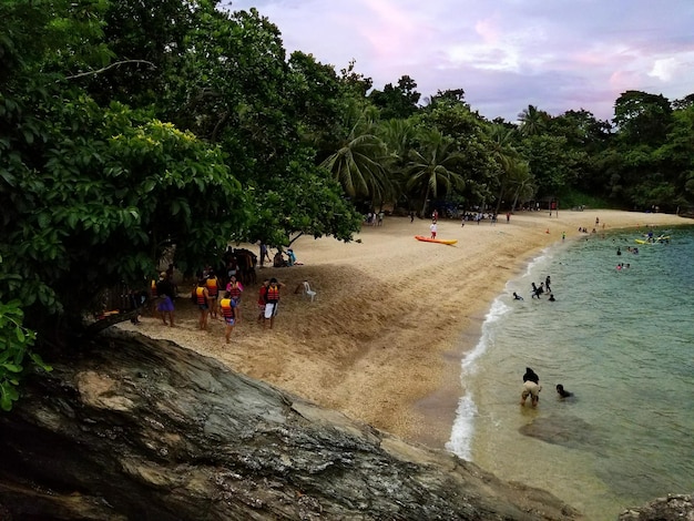 Foto vista de alto ángulo de la gente en la playa por los árboles