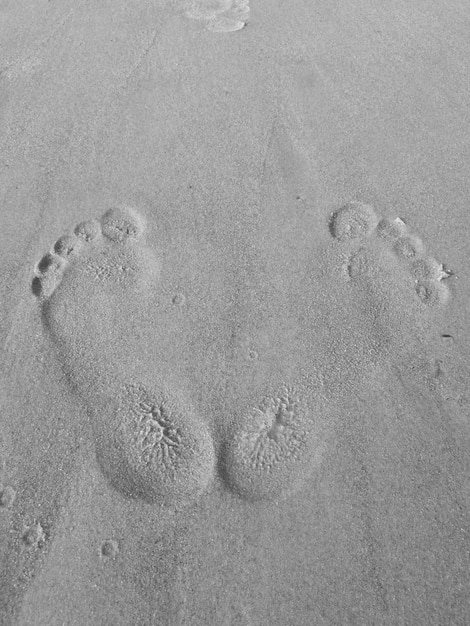 Foto vista en alto ángulo de las huellas en la arena de la playa