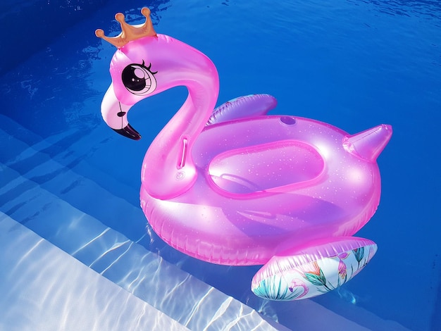 Vista de alto ángulo de un juguete de peluche en una piscina