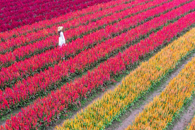 Foto vista de alto ángulo de la mujer en el campo de flores