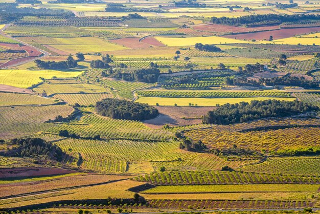 Foto vista de alto ángulo del paisaje agrícola en la font de la figuera valenciana toscana españa