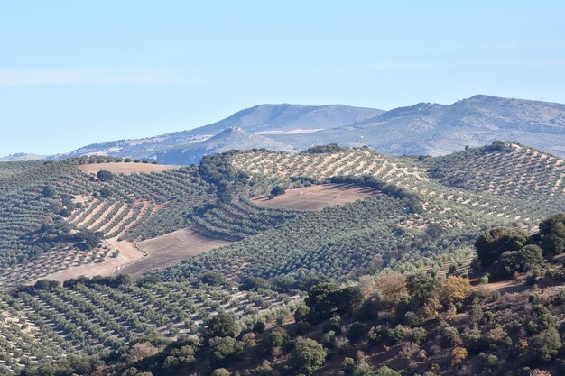 Vista de alto ángulo del paisaje contra un cielo despejado