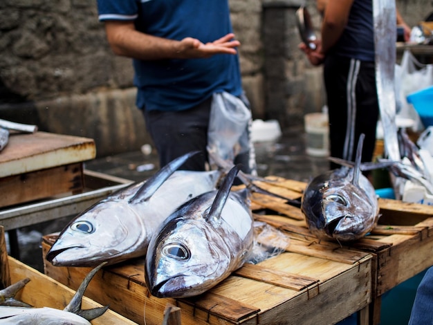 Vista de alto ángulo de los peces en una caja de madera en el mercado