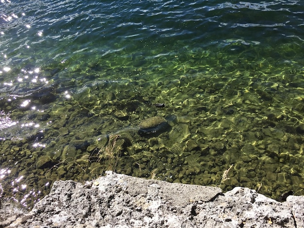 Foto vista de alto ángulo de peces nadando en el mar