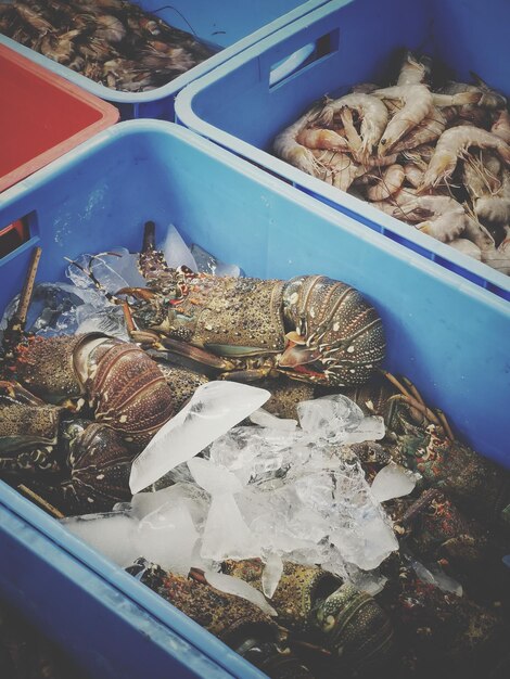 Foto vista de alto ángulo de peces para la venta en el mercado