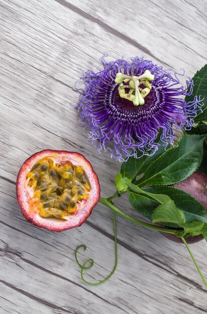 Foto vista de alto ángulo de una planta con flores púrpuras en la mesa