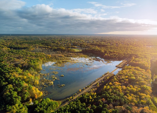 Vista de alto ángulo de plantas y árboles contra el cielo