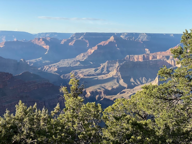 Foto vista de alto ángulo de plantas y montañas contra el cielo