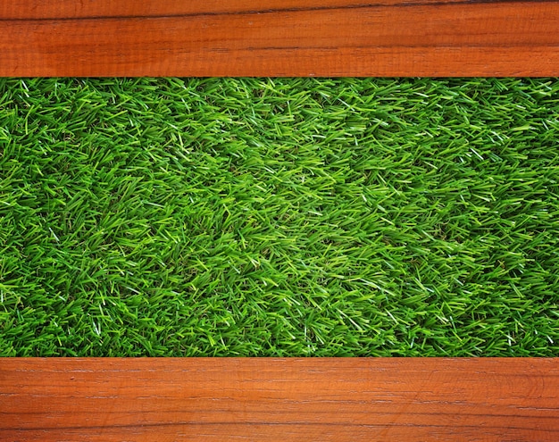 Foto vista de alto ángulo de las plantas verdes en el campo