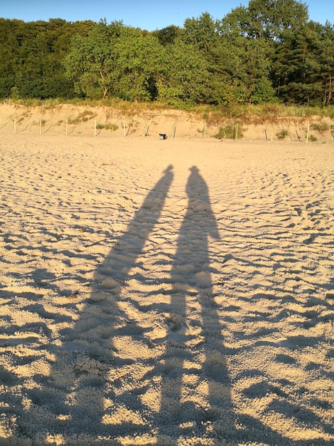 Foto vista de alto ángulo de la sombra de la gente en la arena