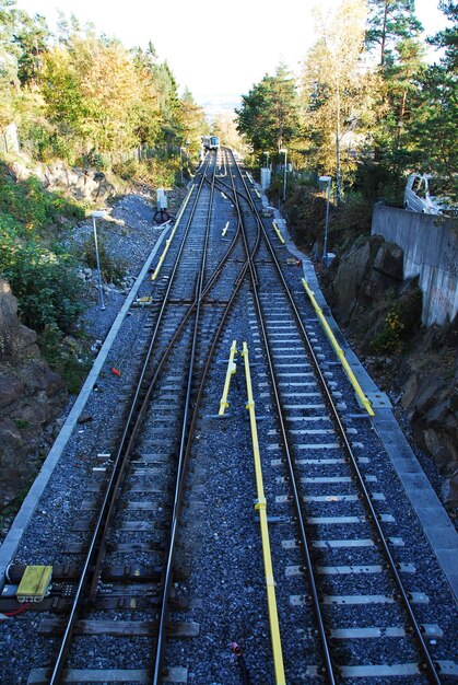 Vista de alto ángulo de las vías del ferrocarril en medio de los árboles