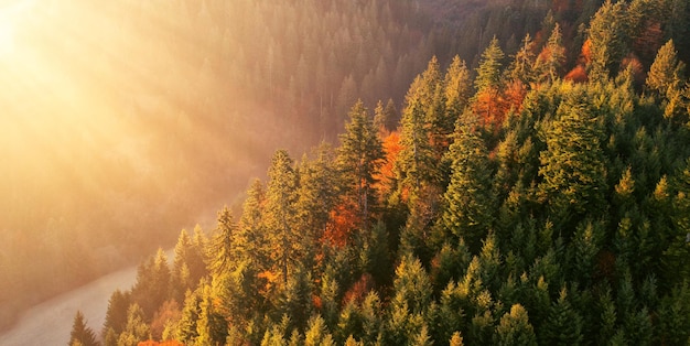 Vista del amanecer del bosque otoñal ferroviario desde una altura