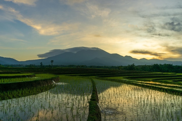 Vista del amanecer en montañas y campos de arroz.