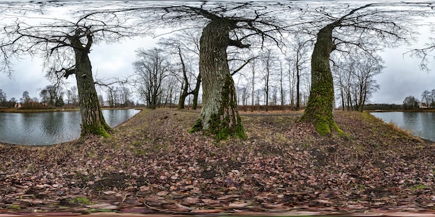 Vista de ángulo de 360 grados de panorama hdri esférico completo sin costuras en el sendero peatonal entre el robledal con ramas torpes cerca del lago en proyección equirectangular con contenido VR AR listo para el cenit