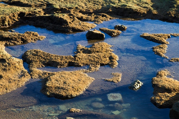 Foto vista en ángulo alto del agua en la orilla