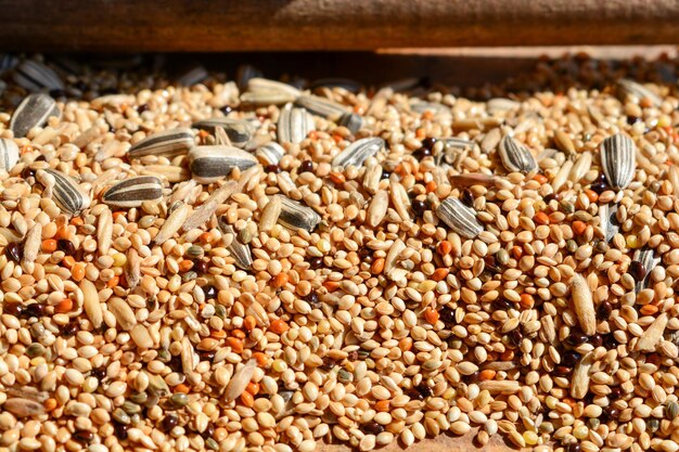 Vista de ángulo alto de alimento para aves para la venta en el mercado.