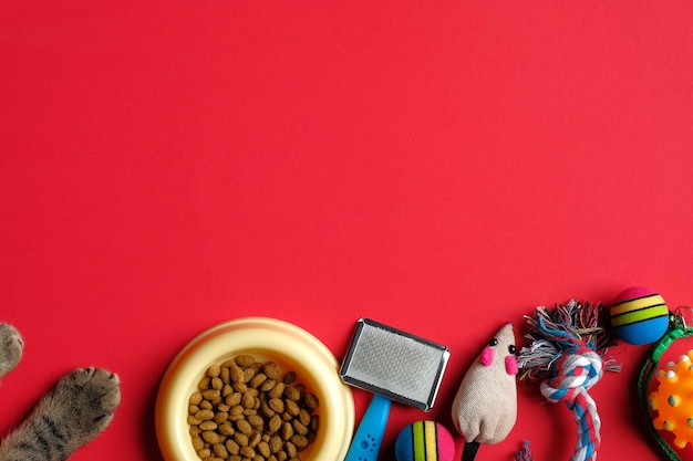 Foto vista de ángulo alto de los alimentos en la mesa contra un fondo rojo