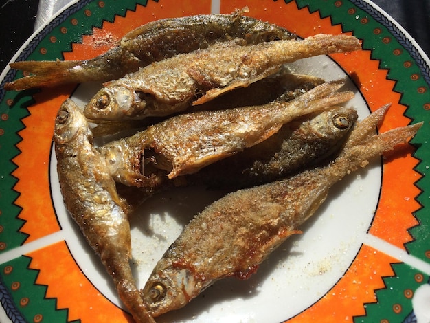 Foto vista en ángulo alto de los alimentos en el plato