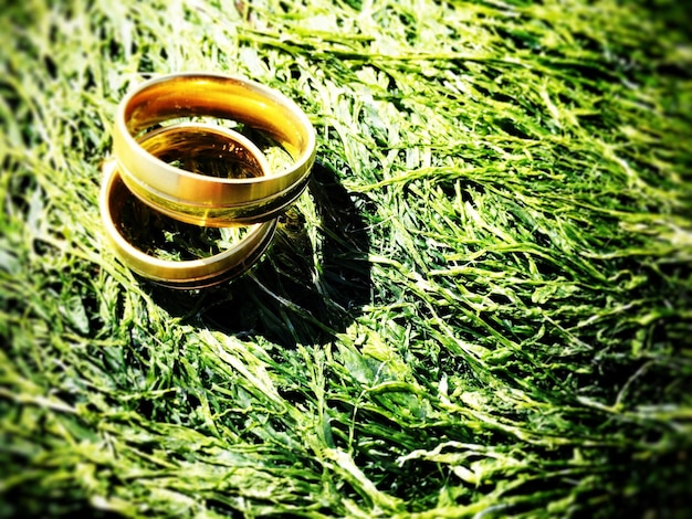 Foto vista de ángulo alto de los anillos de bodas en las algas