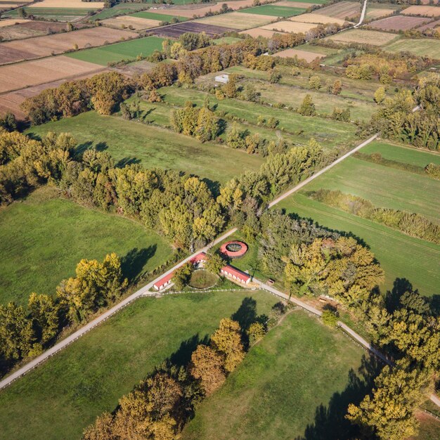 Foto vista de ángulo alto de los árboles en el campo