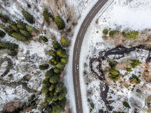 Vista de ángulo alto de los árboles por la carretera contra el cielo