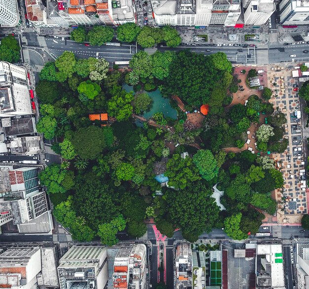 Foto vista de ángulo alto de árboles y edificios en la ciudad