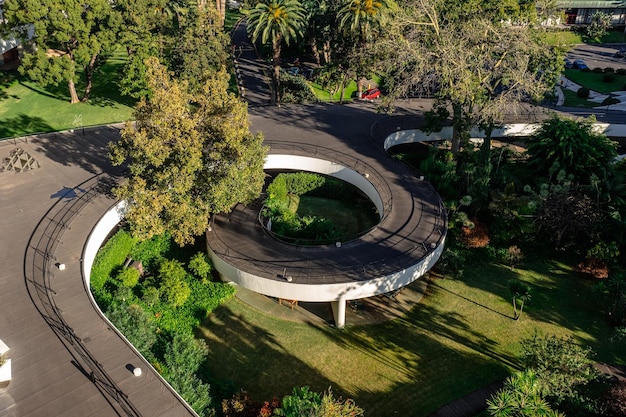 Foto vista de ángulo alto de los árboles en el parque