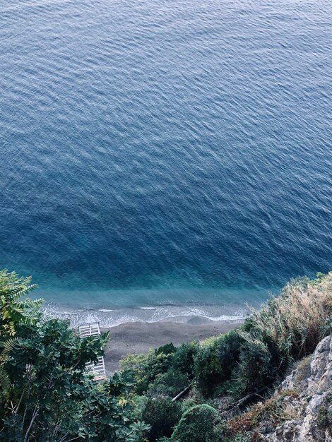 Foto vista de ángulo alto de los árboles en la playa