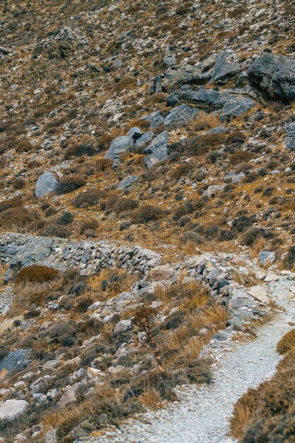 Foto vista de ángulo alto de un arroyo que fluye a través de las rocas