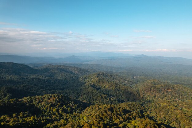 Vista de ángulo alto del bosque y las montañas en los árboles de verano y el bosque por la noche