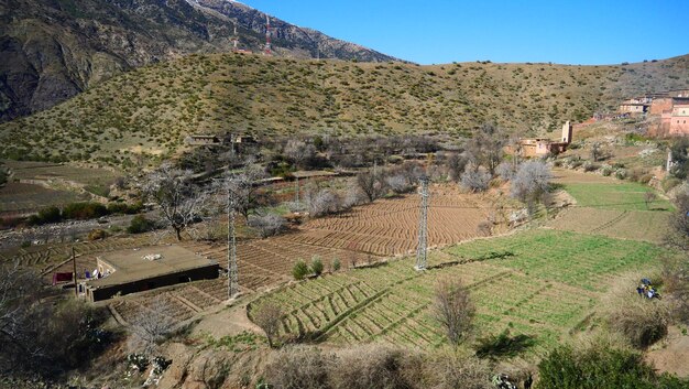 Foto vista en ángulo alto del campo agrícola