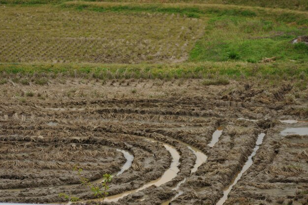 Vista en ángulo alto del campo agrícola