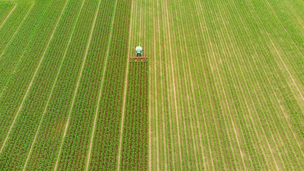 Vista en ángulo alto del campo agrícola