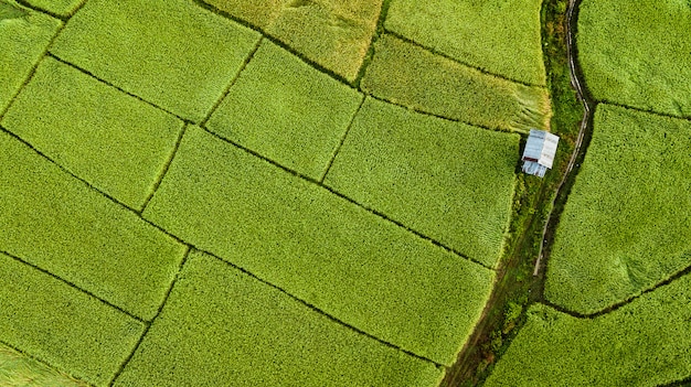 Vista de ángulo alto del campo en Tailandia