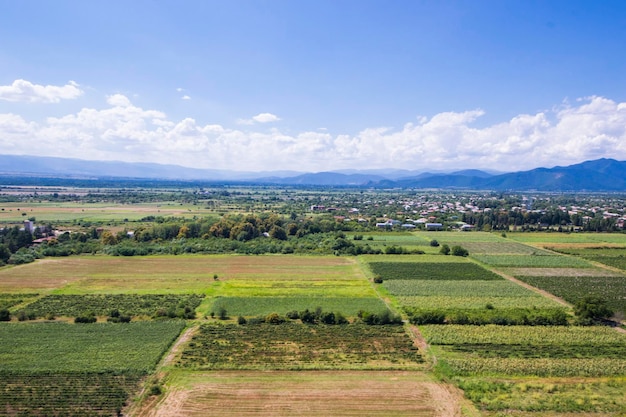 Vista de ángulo alto de campos agrícolas en Kakheti Georgia