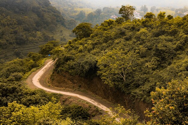 Foto vista de ángulo alto de la carretera en medio de los árboles en el bosque