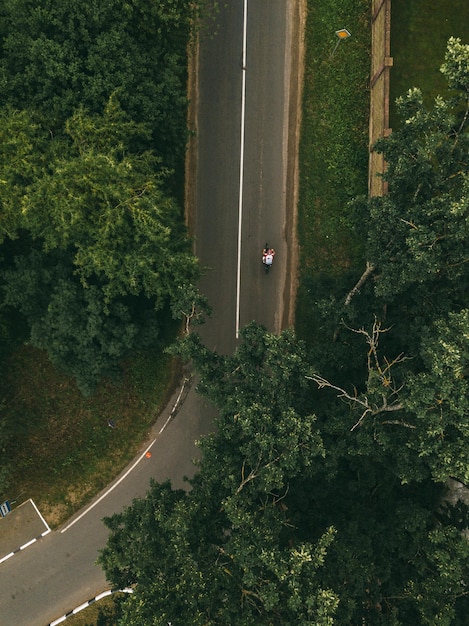 Foto vista de ángulo alto de la carretera en medio de los árboles en el bosque