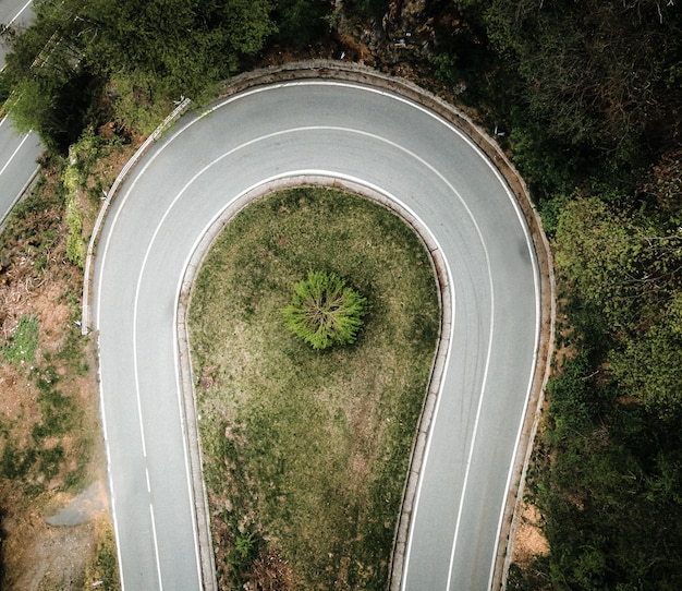 Foto vista de ángulo alto de la carretera en medio de los árboles