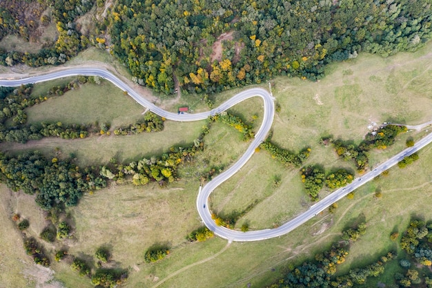 Vista de ángulo alto de la carretera sinuosa en medio de los árboles