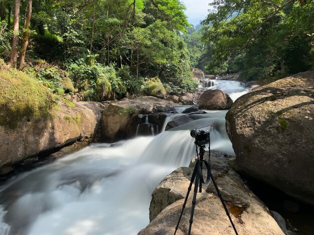 Foto vista de ángulo alto de una cascada en el bosque