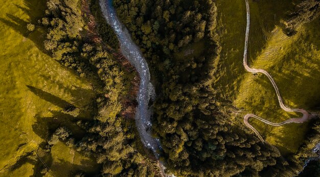 Foto vista de ángulo alto de la cascada en medio de los árboles