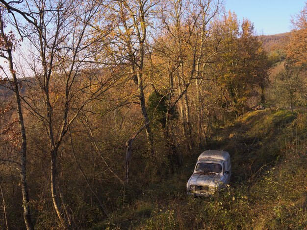 Foto vista de ángulo alto de un coche abandonado en medio de árboles en el bosque