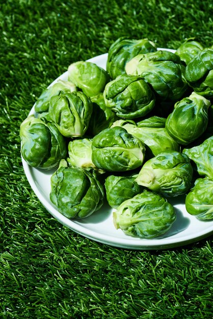 Foto vista de ángulo alto de la coles de bruselas en el plato en el campo