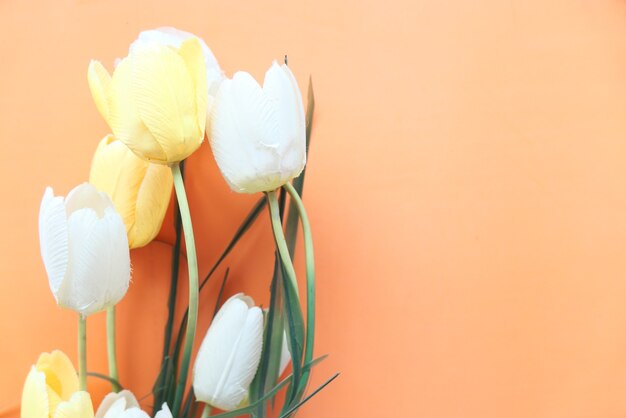 Vista de ángulo alto de flor de tulipán de color amarillo y blanco en la mesa